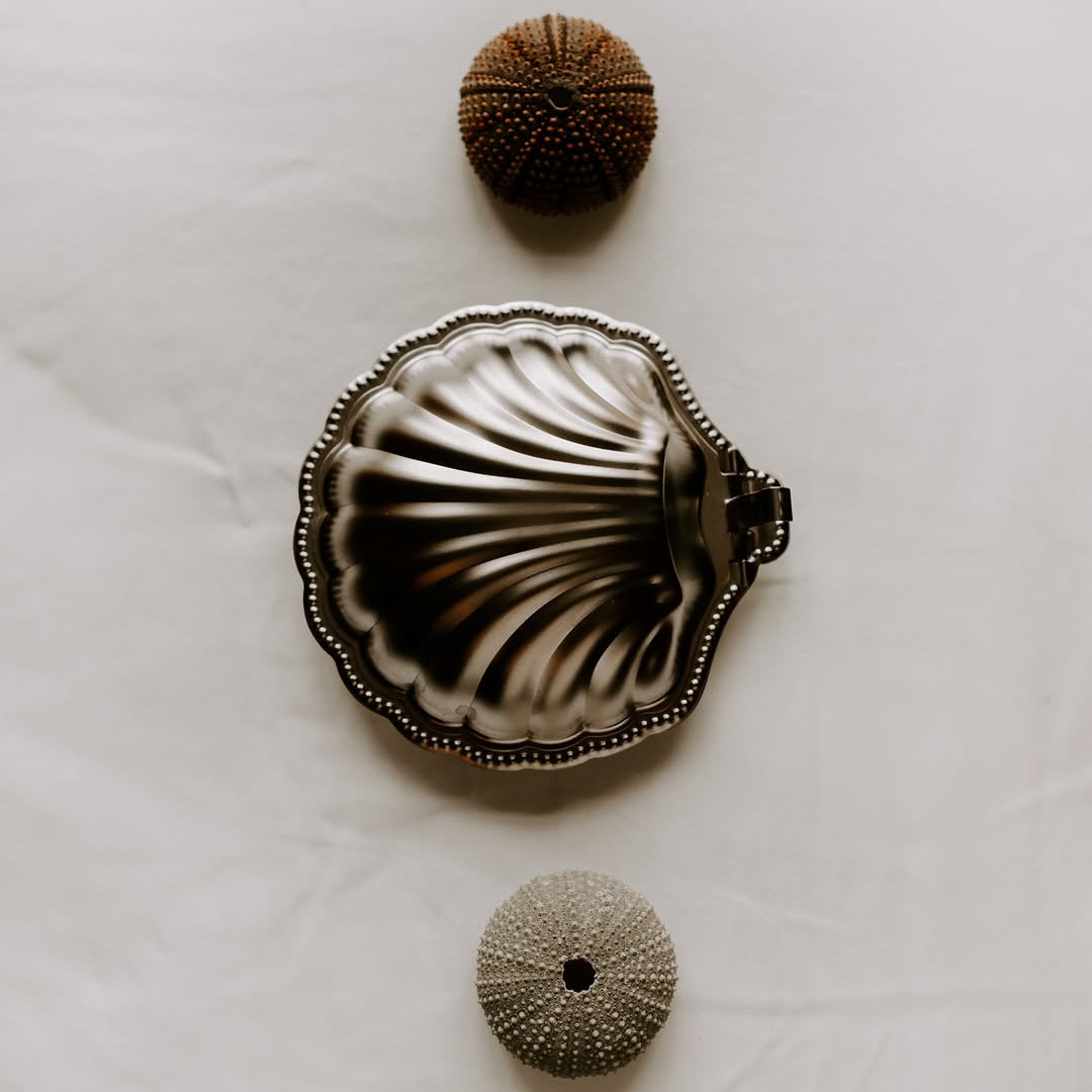 Vintage Metal Shell Box