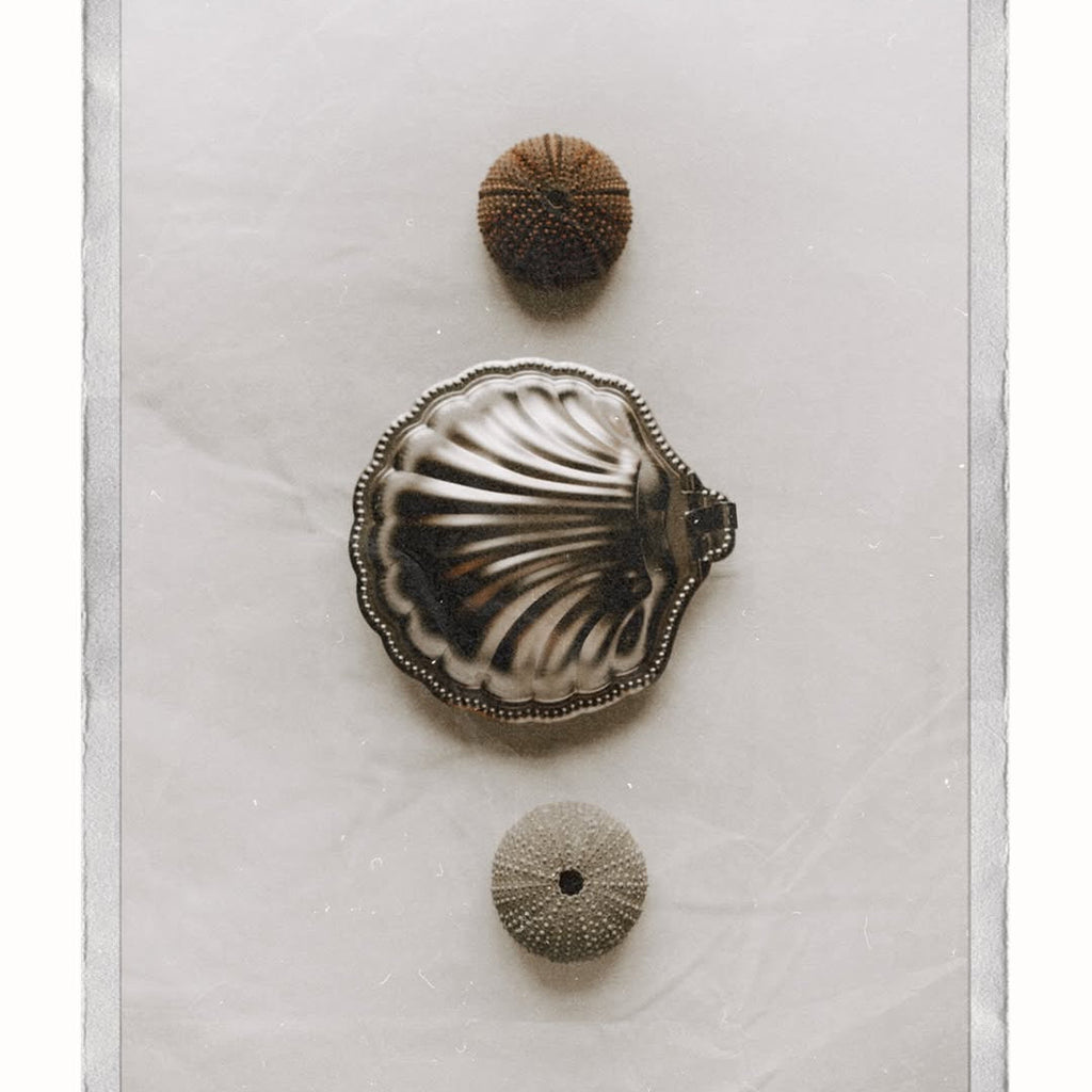 Vintage Metal Shell Box